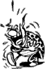 coc56.gif (1711 bytes)